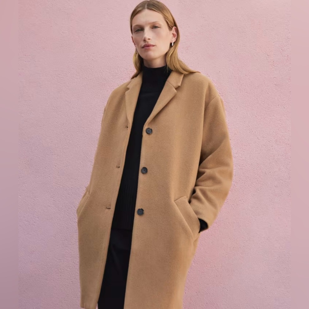 Everlane Wool Coat